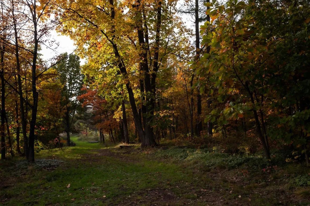 וילה אסאהיקאווה Lodge Norheim יפן